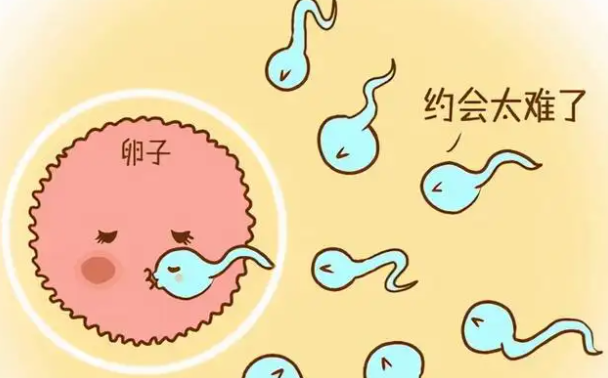 图片7