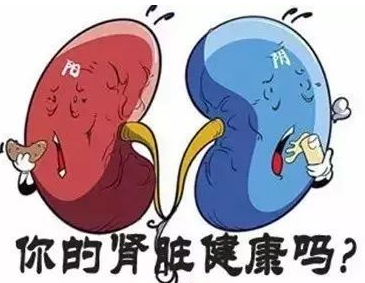55f2fd69f0e78914b3488fd2acd21850.png