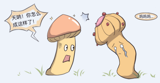 942abd232ec184801201b690a87c7ad6.png