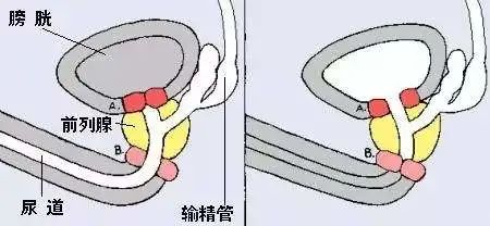 b57e5a38ff66ba5ff3d6add99de416e1.jpg