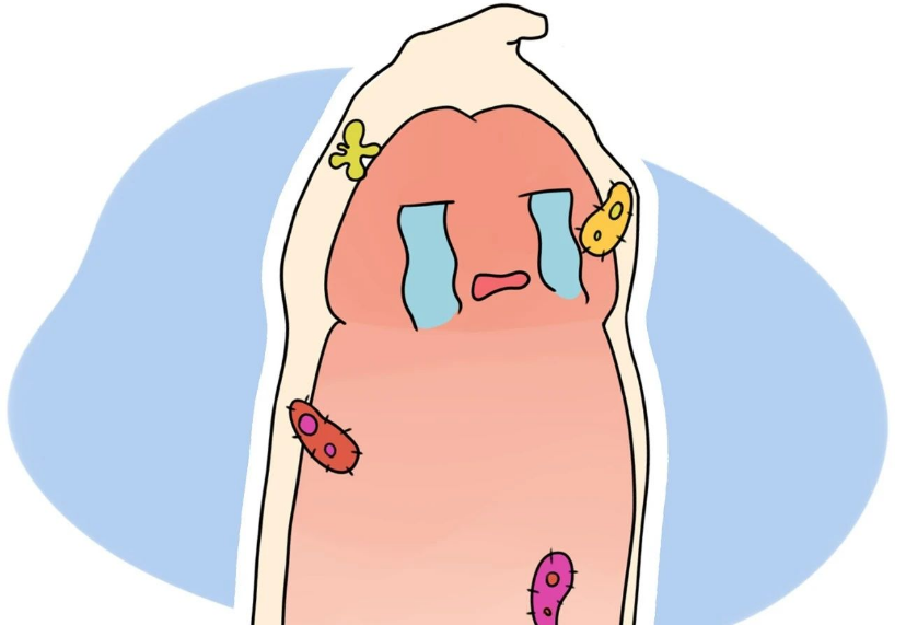 a413dbd93e49ad213cefffc04076dd2.png