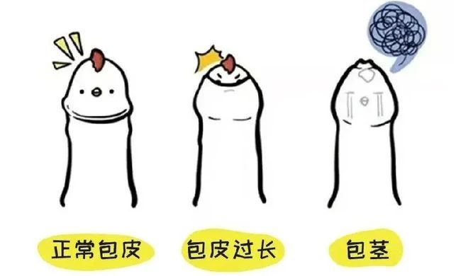 ebaf4ce61e6e164a3e95b80f6c8f5a66.jpg