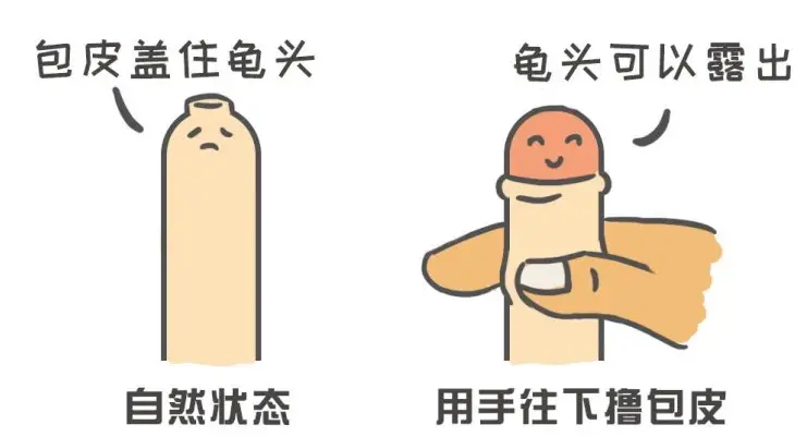 f21c57b98af60e5370a3adcf15fbba03.png