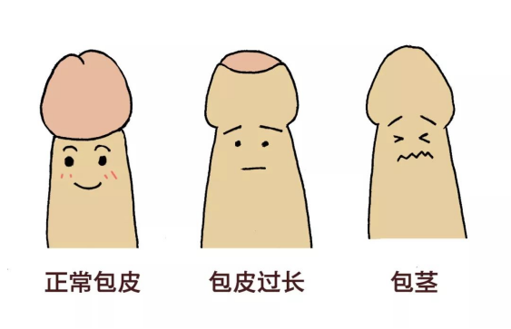 c16360f98b2bcef2d441e5c0d75126b8.png