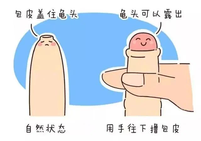 5cb24da1f1dc4c2b9ada3b28198f0a2d.jpg