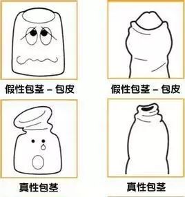 72b867f65ab2a4ad59c1838ce6f264c4.jpg